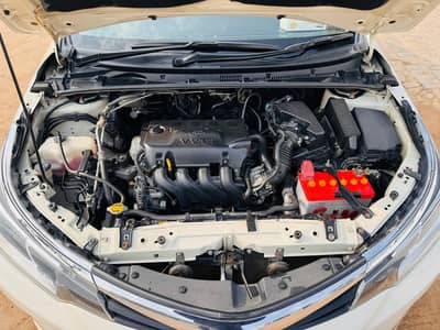 2018 modl registration 2019n