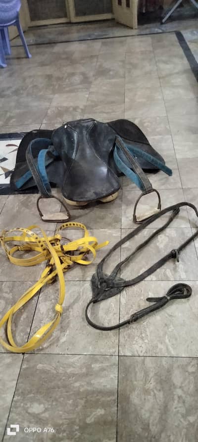 special chamry ki zeen 03251916798 no