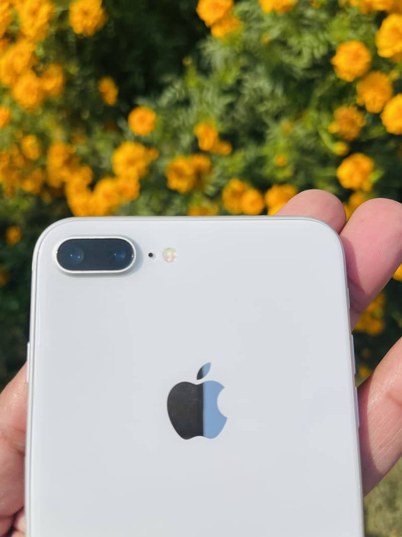 IPhone 8 Plus 4