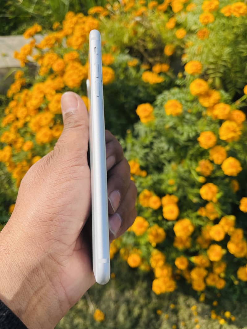 IPhone 8 Plus 9