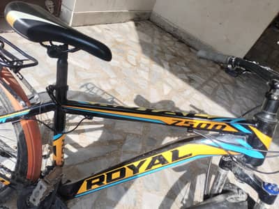 Royal mountain bike