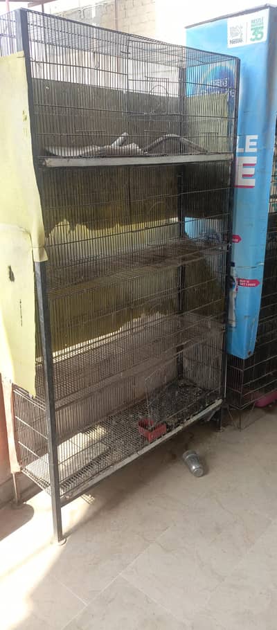 iron cage 8 portion 4 portion parrot Australian lovebirds