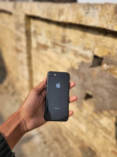 Iphone 8 Sim Glitch Exchange Possible