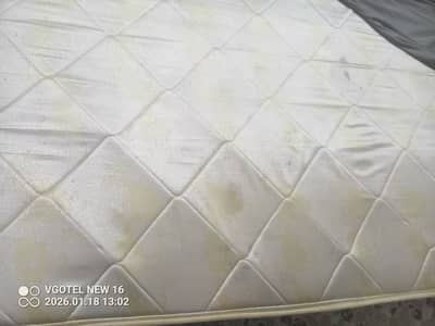 Molty foam spring crest