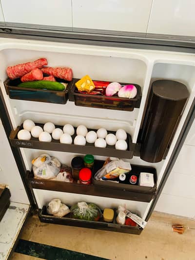 imported refrigerator (Philips)