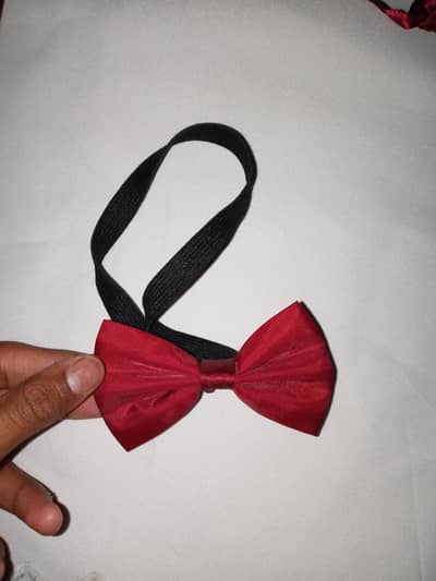 coat pent 1 time use