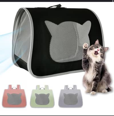 cat , kitten travel bag