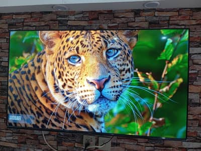 Haier 55" QLED