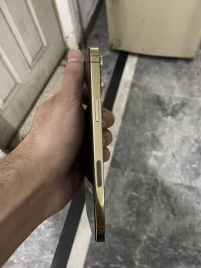 Gold clr 12 pro max 256 Pta proved