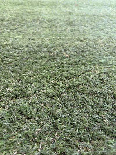 Artificial Grass Carpet 50mm 12x9 ft