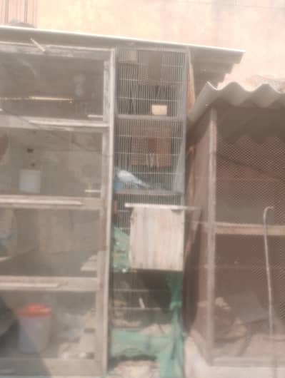 2 cages 8 portion urgent sale