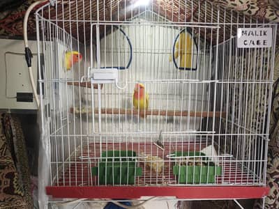 Only 1.5 Size Cage+Box Almost new just one time breeded