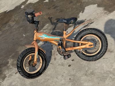 crocodile bicycle for kids