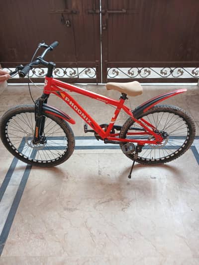 phonex bicycle 24 inch
