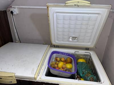 Waves Deep freezer Fridge and freezer 2in1