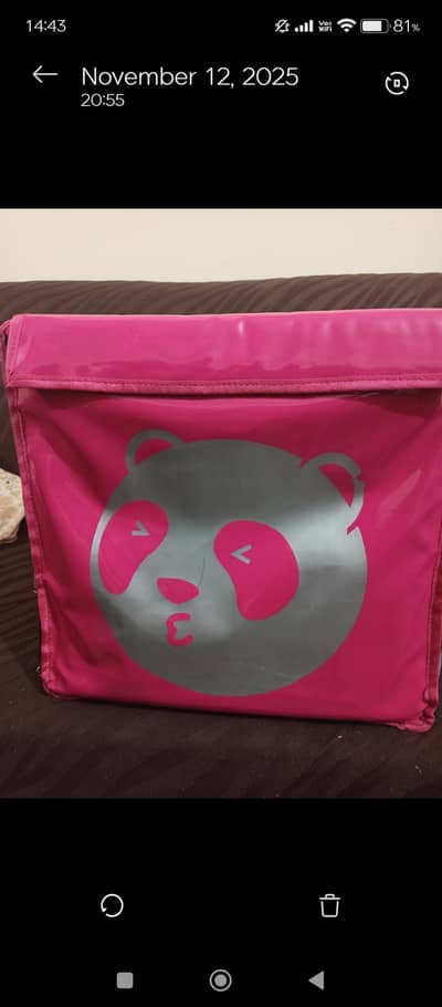 foodpanda delivery bag