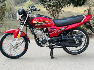 YbZ 21/22 Model 03205850420wahtsall