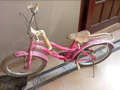 cycle for 10 to 12years