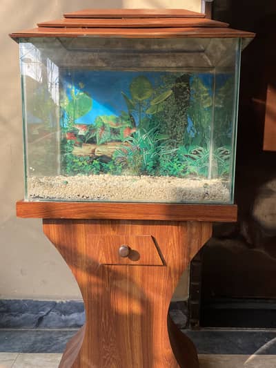 aquarium almost new