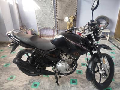 Yamaha YBR-G Self Start for Sale – Neat Condition