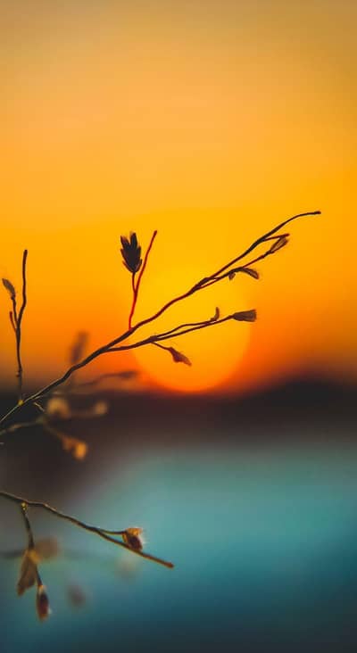 Female required for cleaning and dish washing