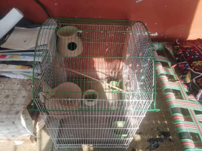 Parrot cage sale