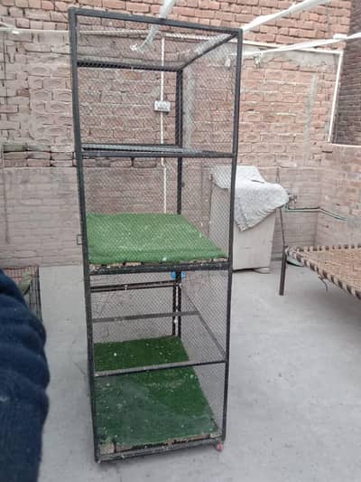 Cage for Birds