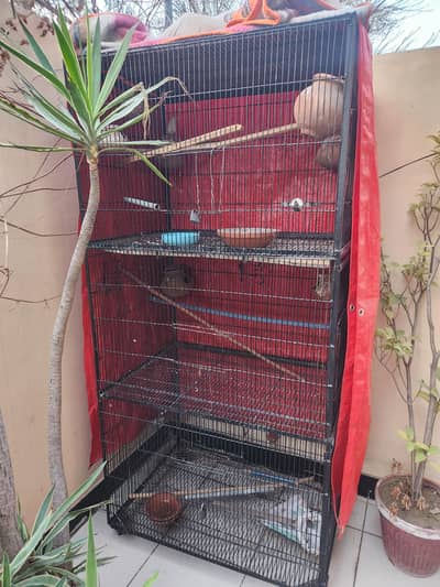 Birds Cage (Pinjra  ‍)