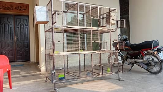 Iron Bird Cage - 4.5 feet × 4.5 feet - 9 Portions/ Sections