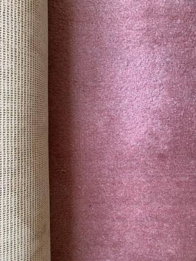 carpet good condition