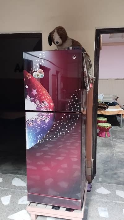 Home Used full size pel Refrigerator