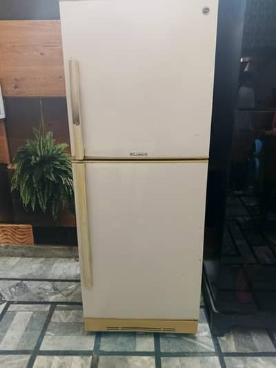 Pel Refrigerator PRA160