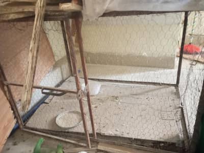 cage for sale 2000 only