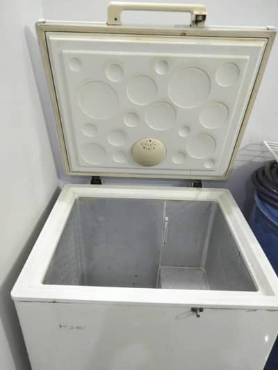 Haier. dfreezer