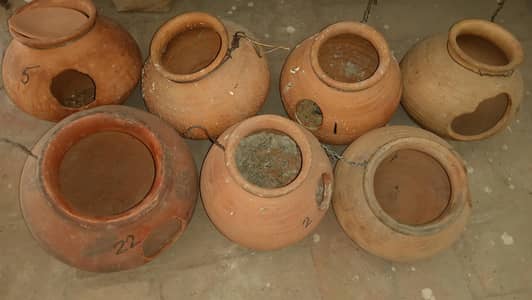 love Birds breeding matkian