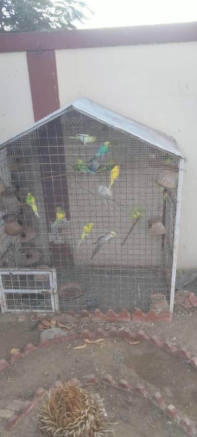 میں دو حضرت مضبوط پنجرے بھیج رہا ہوں لوہے کے پائیدار 03402494900