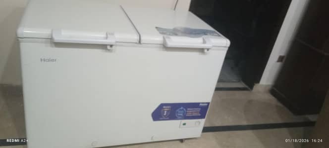 Haier Double Door Deep Freezer