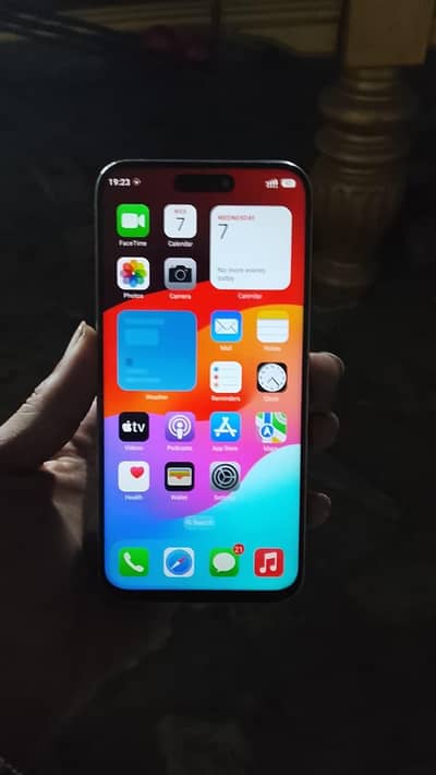 fully friendly parrot for sale 03054636833