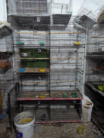 Cages available Full setup for sale