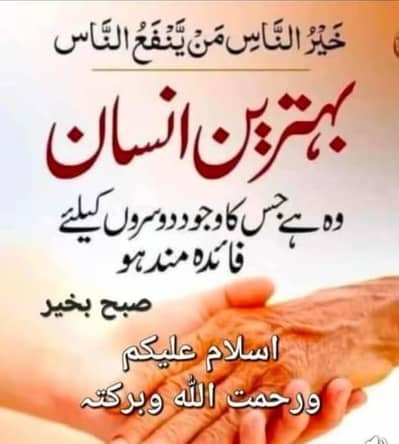 dog horse cat monkey