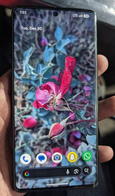 Google pixel 7 pro official approved