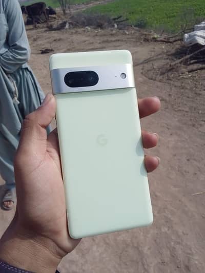 my number 03090663481