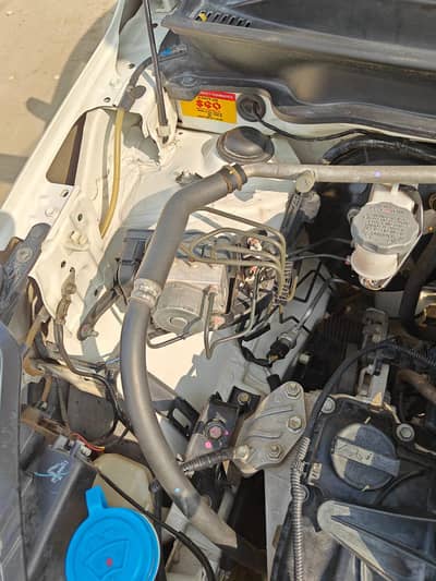 cultus lush condition