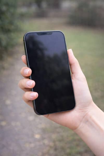 i phone 14 pro max non pta