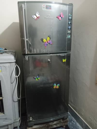 medium size new look koi falt nahe chloo ha 03157707141-/03034777141