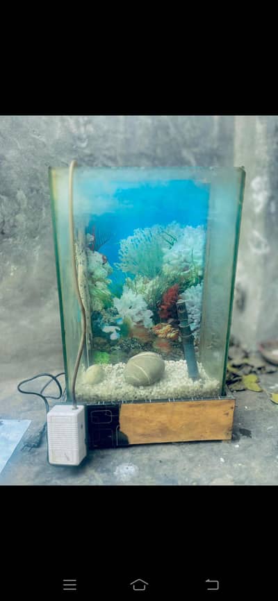 aquarium tank
