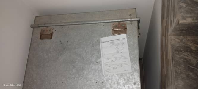 Large size trunk Paiti