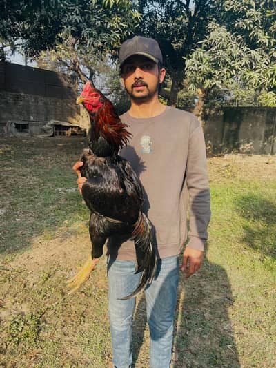 male: vatname+pokaya    female: Pakistani