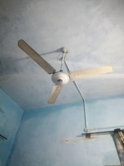 6 celling  fan excelliant condition  running position