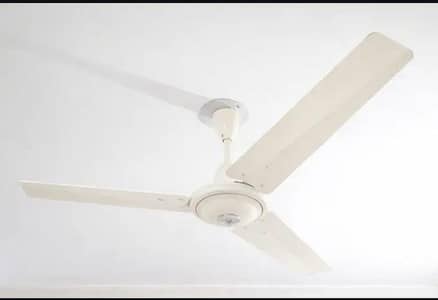 Pak Fan Original Copper Winding Deluxe Model